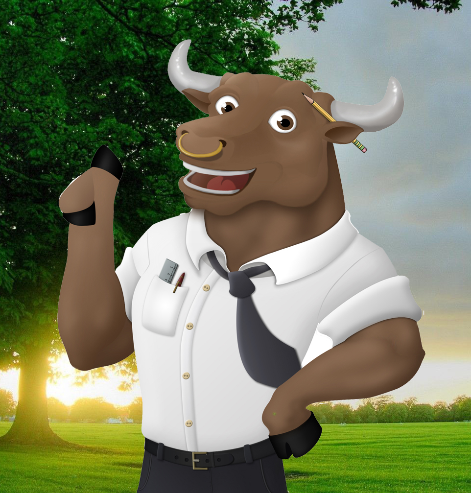 Fundo - 2013 - Ce n'était pas l'expert en stratégies web mais l'expert du socio-financement